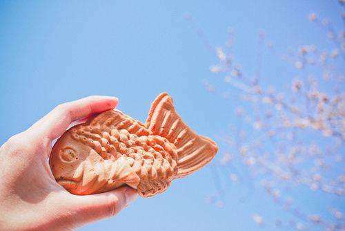 ���ǿ���ת�������ǲ��ػ�ͷ