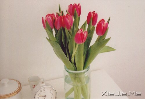 ��Ҫ������ң�ֻ�󰲰����� (1)