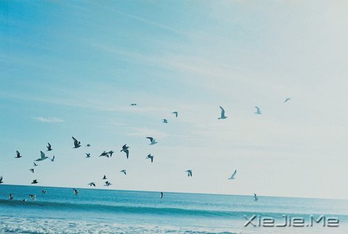 ������Ҳ������������� (2)