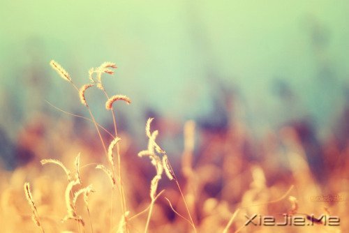 ��Ҫ�������ˣ���Ҫ����Լ� (8)