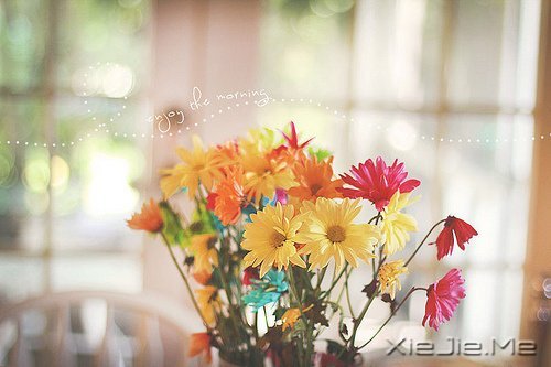 �����ӹ���ʫ���򵥶����� (9)