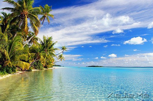 �����ĸ߹�Ӧ�������ڹ�ȥ���Լ� (9)