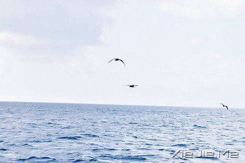 ���죬���ǿ��ƣ����ǿ��� (4)