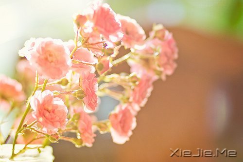 我不怕长大,而是怕你们老去 (1)