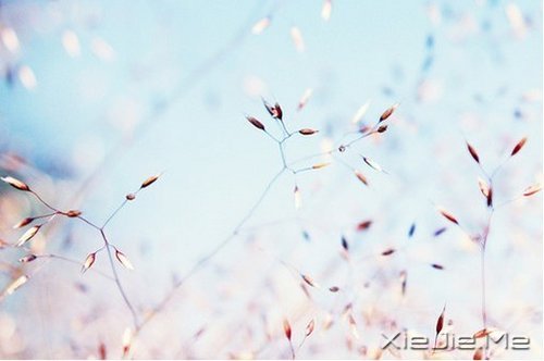 ������Ҳ������������� (9)