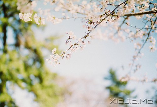 ��Щ�£�ЦЦ���ܹ�ȥ (7)