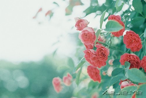 ��Ϊ֪�㣬���Ը��ӽ��Ҹ� (10)