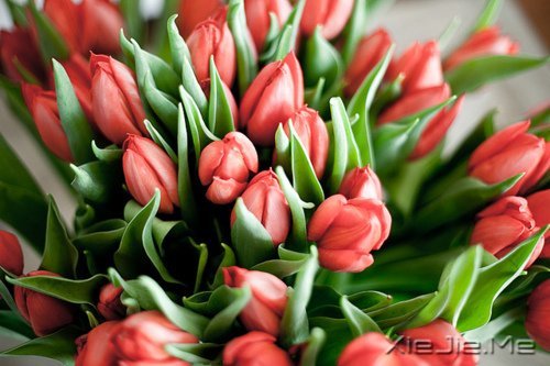 ������һ������ʵ��һ�������� (5)