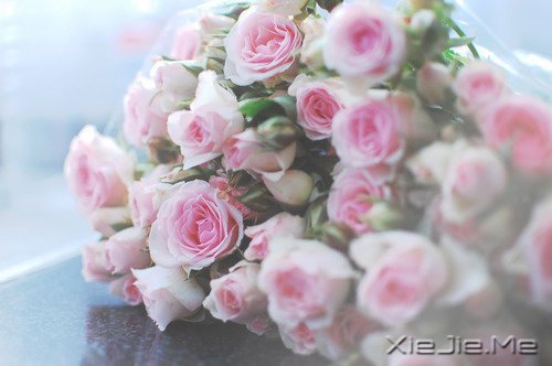 最深的孤独不是一片黑暗,而是你只能看到自己 (7)