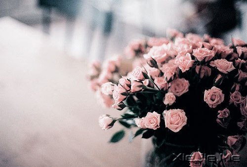 ���������;�У������Լ� (8)