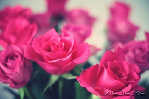 留下的,才是人生 (6)