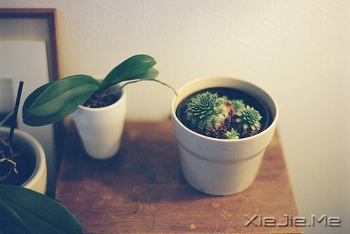 �����������ø��ã���Ϊ���Լ� (12)