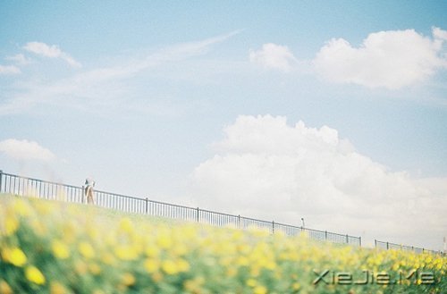 ���������Ҫ��Ϊ�ѹ���������ɢ������ (1)