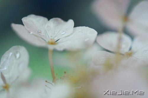 ��������ҵ�������· (10)