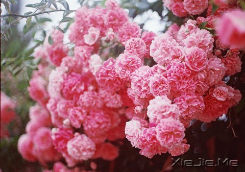 ��������˲������ں�ҹ���������û�й� (8)