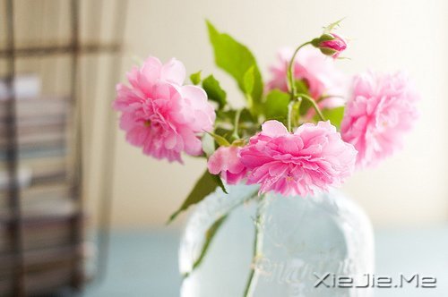 �簲�������ĺ�����ǳǳ��΢Ц (7)