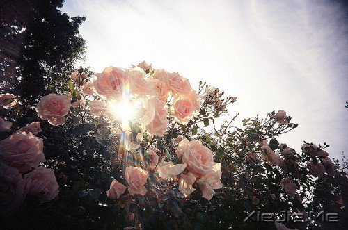 �簲������������ڱ��˵Ĺ���������Լ������� (4)