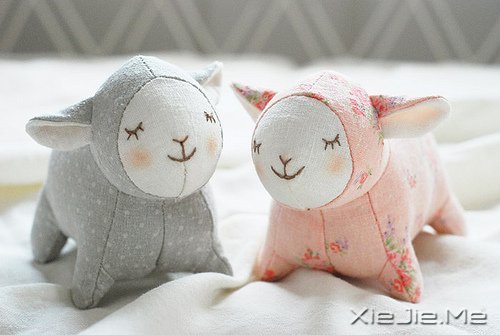 �簲���ѧ�ſ���һЩ���飬���Ƕ��Լ���õı��� (2)