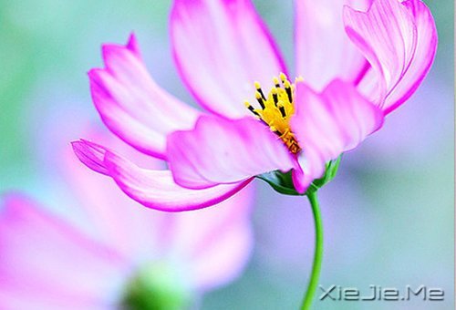 ���ʱ����Ե��ˣ�һ��Ҳ�Ͳ������ (1)