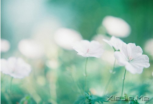 ���ʱ����Ե��ˣ�һ��Ҳ�Ͳ������ (6)