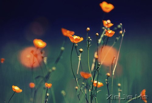 ���ʱ����Ե��ˣ�һ��Ҳ�Ͳ������ (8)