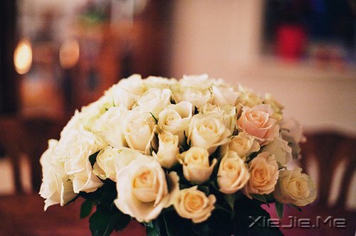 �������������ת���������¿�ʼ (8)