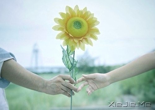 ��ʱ��Ķɿڣ����ǽ��ǹ��� (2)