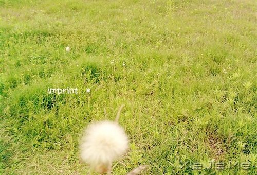 ��ʱ��Ķɿڣ����ǽ��ǹ��� (10)