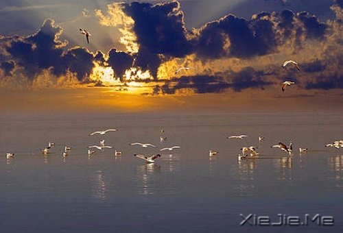 ���Լ�ϲ�������ϲ���Լ��������� (9)