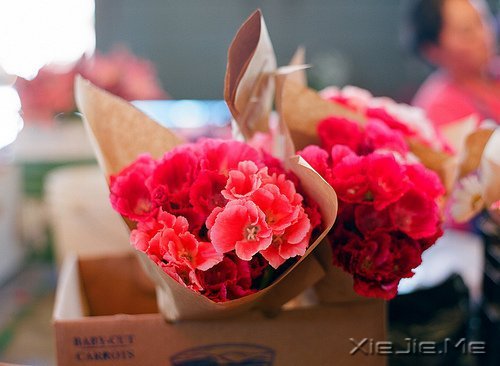 �������΢Ц��ȥ�ȴ�������õ��Լ� (1)