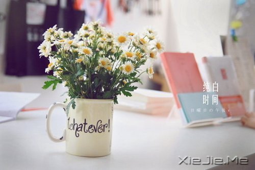 对未来的真正慷慨,是把一切献给现在 (9)