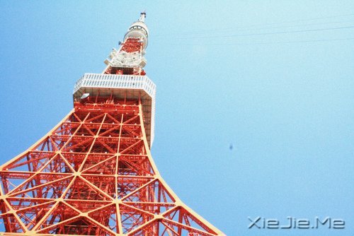 今天你所受的伤,只会让你明天更坚强 (1)