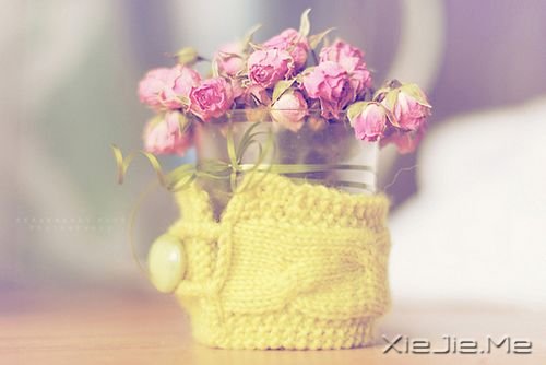 ��������¸����΢Ц��� (1)