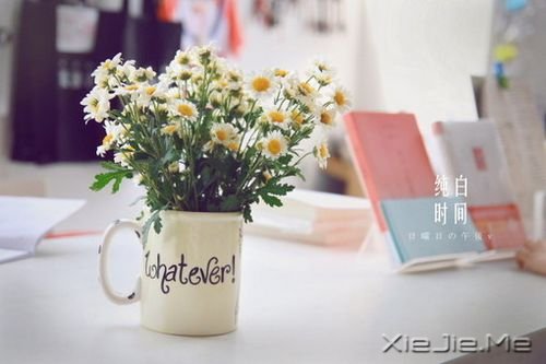 �簲�������һ������ȥ���������������� (6)