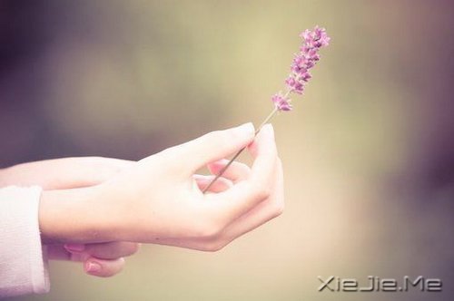 �������˭�����𸡻���Ѥ�ã�˭�;����������ƽ�� (10)