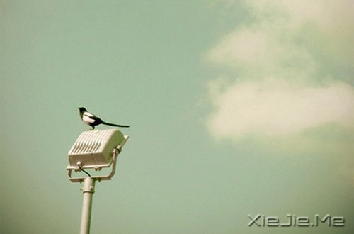 �簲�������Ҳ���ô�ں��������򵥵ö� (2)