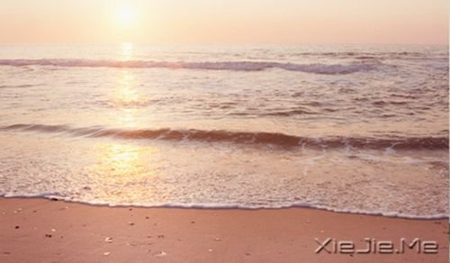 早安心语:逆风的方向,更适合飞翔 (4)