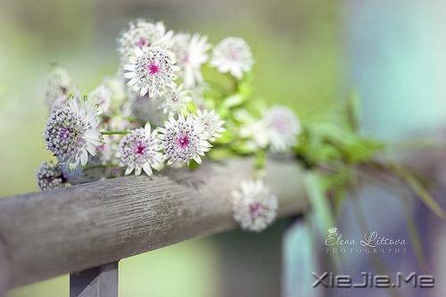 �簲����ɹ����ٶ�һ��Ҫ������ĸ��ȥ���ٶ� (1)