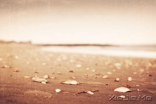 �簲����������Կ��ƣ������᲻������ (1)