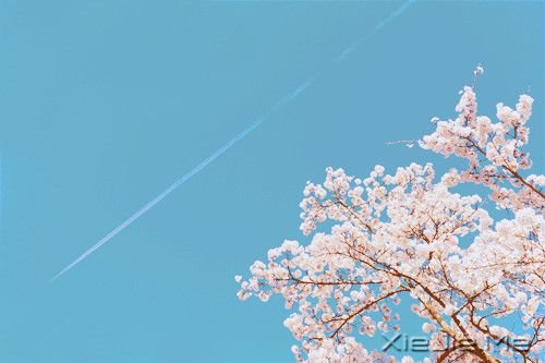 早安心语:只要你在走,总会看到进步 (1)