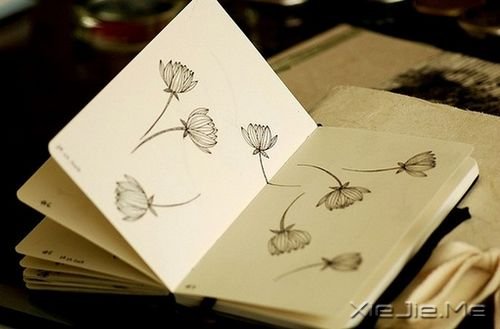 晚安心语:过去无法重写,但它却让我更加坚强 (7)