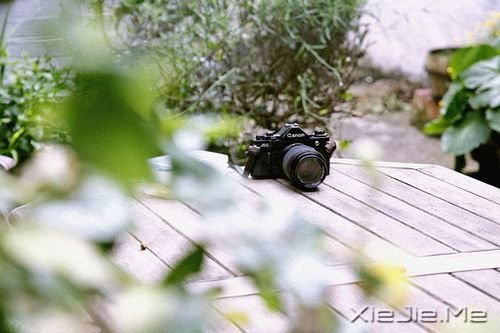 ����������ߵ�·���������ķ羰 (6)