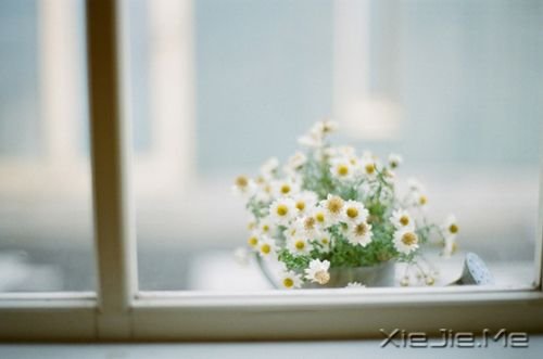 �簲�������ѭ������ʵ�������Լ������� (2)