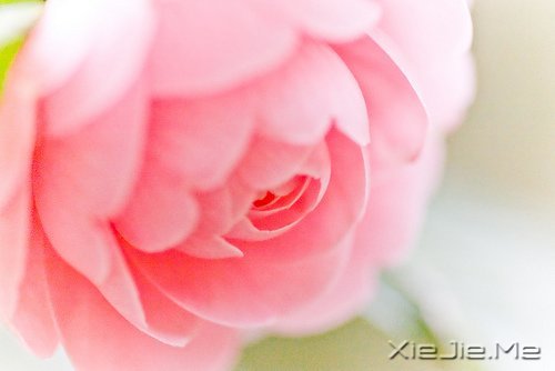 ������¼��������Թ���磬����ı��Լ� (5)