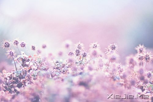 不是世界不好,而是你见得太少