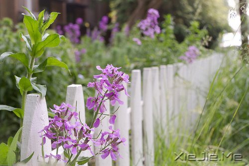 ������¼��һ���˵���ĵ��� (3)