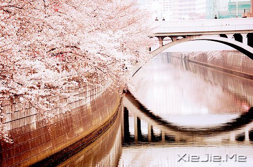 ������Լ���10��Լ�� (10)