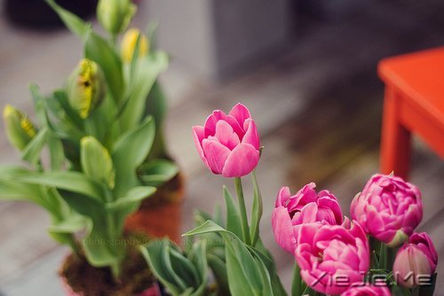 �����������ĸ������ͱ���Ĺ��� (3)