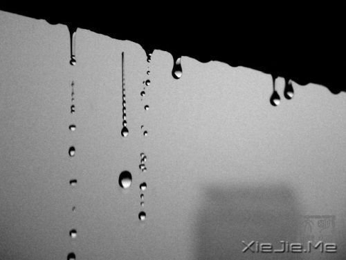 14�׹�����Ĵ������Ƽ� (12)