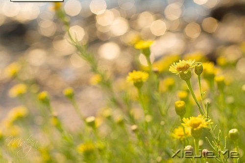 10����ů��Ӣ�ĸ����Ƽ� (1)